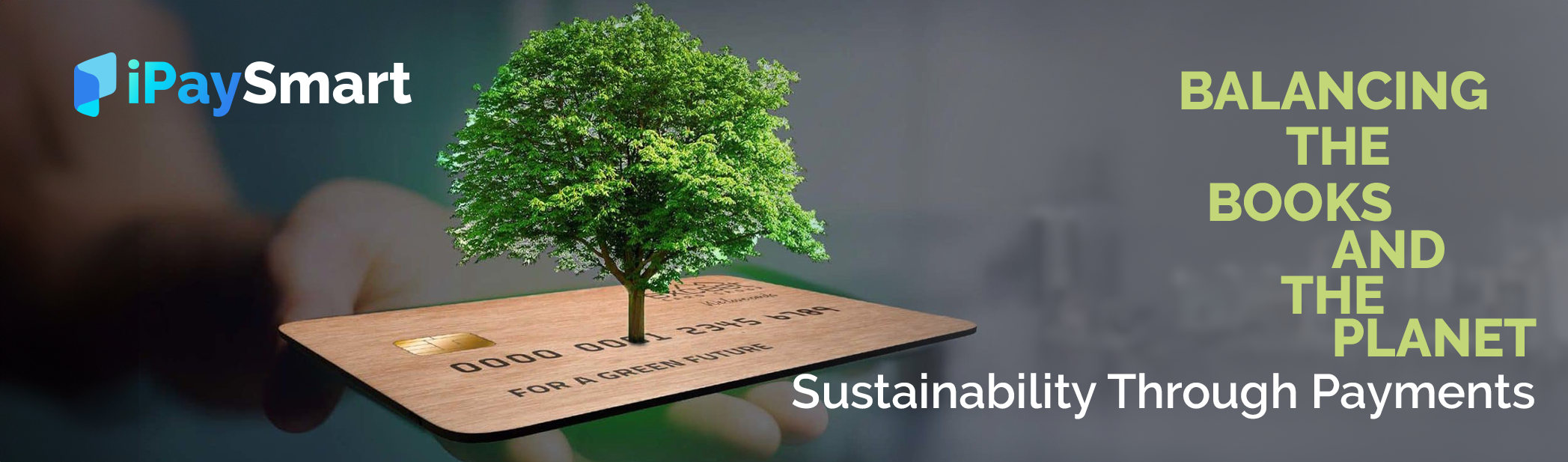 Balancing the Books and the Planet: Sustainability Through Payments